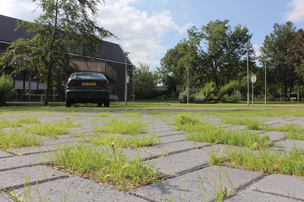 Grasbestrating - de 5 meest gestelde vragen over aanleg en onderhoud