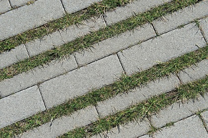 Hydro Lineo vergroent entree Valkenburgse Meer