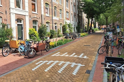 De Frans Halsbuurt - een autoluwe wijk met ruimte voor groen