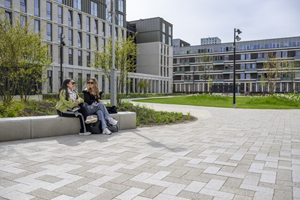 Avans Den Bosch - de complexiteit van een daktuin