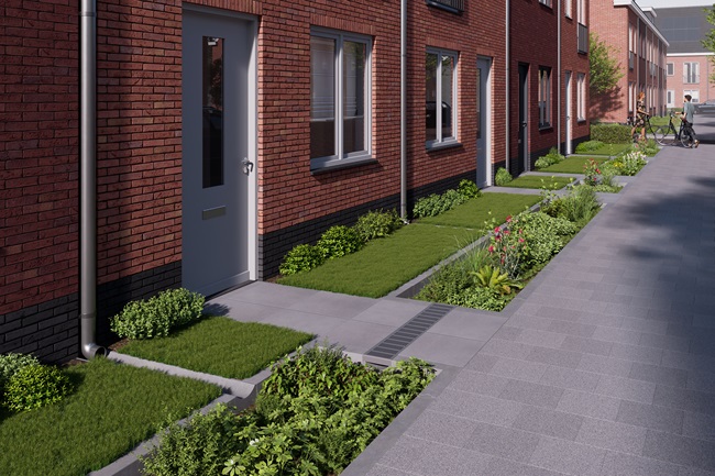 Raingarden |  Woonwijk