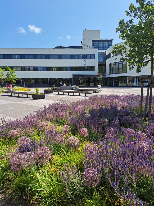 Stadhuisplein als woonkamer