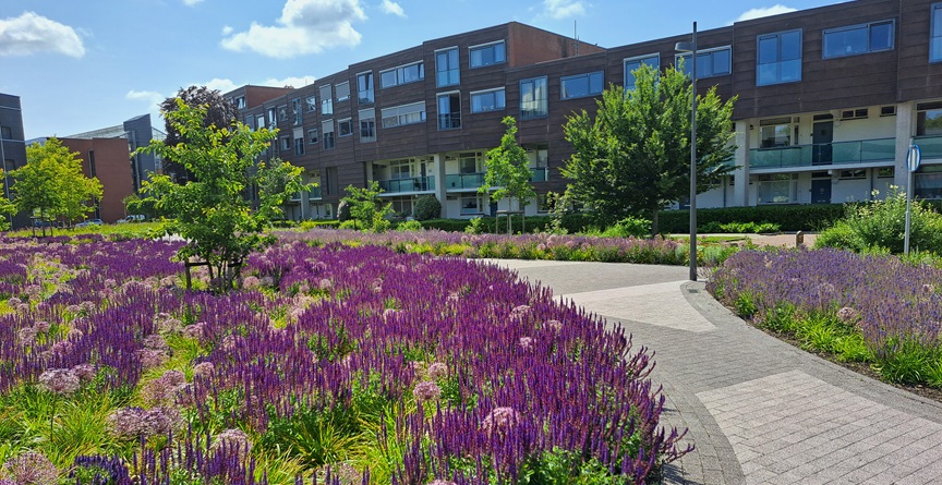 Stadhuisplein | Looproute door minipark