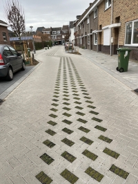 Greenbricks in rijbaan Greenbricks in rijbaan