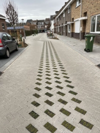 Greenbricks in rijbaan