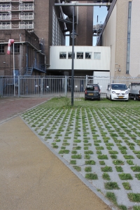 Groenbestrating in Energiepark