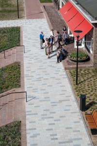 Mixpakket Berchmanianum Kloostertuin Radboud