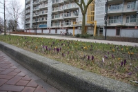 Verhoogde trottoirbanden 18 cm zicht