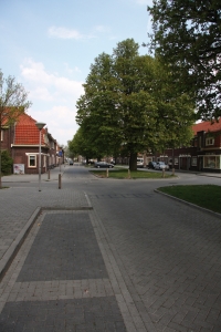 Reconstructie Bomenwijk