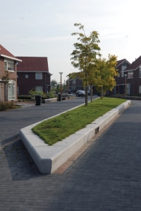 Groenaanleg woonwijk Pieckenhoef