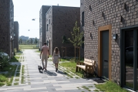 Square groenbestrating - 't Vrije Veld Square groenbestrating - 't Vrije Veld
