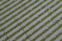 Vergroening Leeuwerikstraat Made