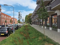 Afwateringsbanden Slachthuisbuurt Afwateringsbanden Slachthuisbuurt