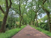 Silent Way met CERO geopolymeerbeton Silent Way met CERO geopolymeerbeton