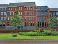 Waterbufferende groenstrook met wadibanden Waterbufferende groenstrook met wadibanden