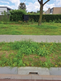 GOW30 met Wadi_Connect Lengselseweg GOW30 met Wadi_Connect Lengselseweg