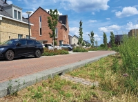 Brede wadibanden Lommerrijk Brede wadibanden Lommerrijk