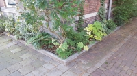Geveltuinbanden binnenstad Geveltuinbanden binnenstad