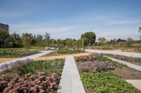 Ranke zitranden en vloerplaten in Spoorpark Ranke zitranden en vloerplaten in Spoorpark