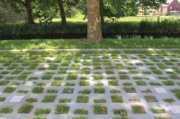 Groenbestrating woontoren Leo Vroman Groenbestrating woontoren Leo Vroman