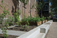 Moestuin en speelplein met Solids Moestuin en speelplein met Solids