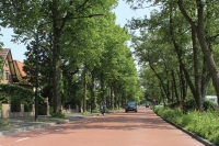 50 km/h zone met stille klinkers 50 km/h zone met stille klinkers
