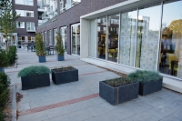 Zorgcentrum Gendt Zorgcentrum Gendt