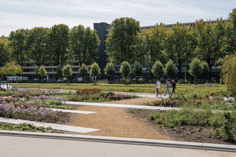 Ranke zitranden en vloerplaten in Spoorpark