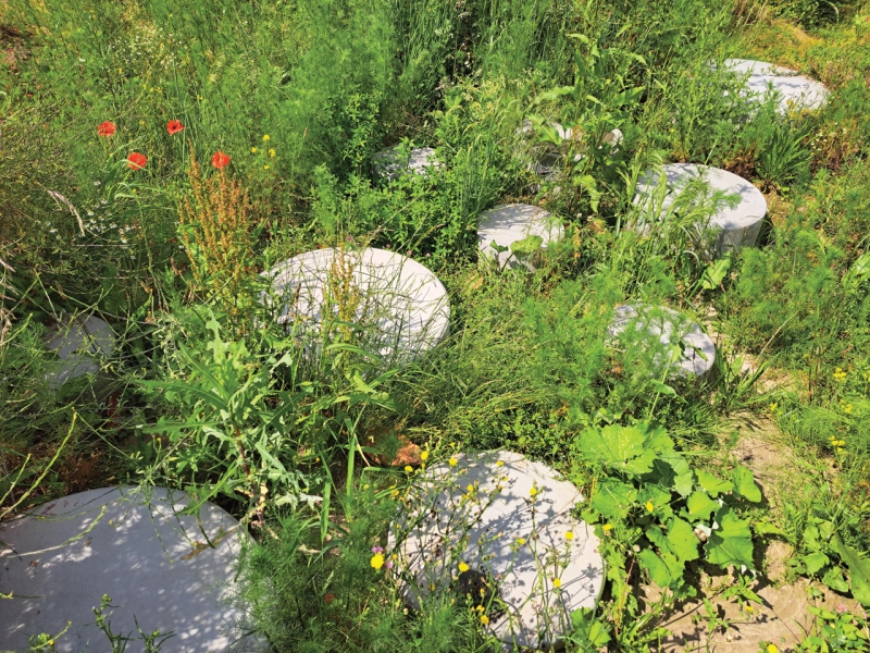 Wadi met sierpoefs als speelplek 